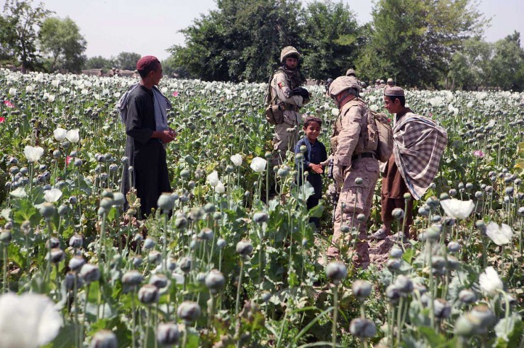 ما أسباب إخفاق مكافحة المخدرات في أفغانستان؟