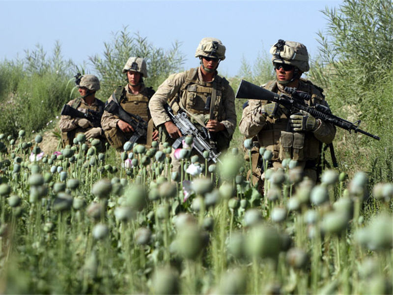 Afghanistan and the fight against drugs