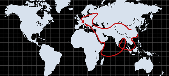 Linking Afghanistan to China's Belt and Road